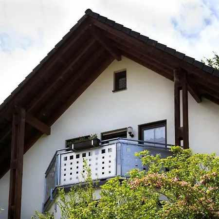 Steinbachblick Apartment