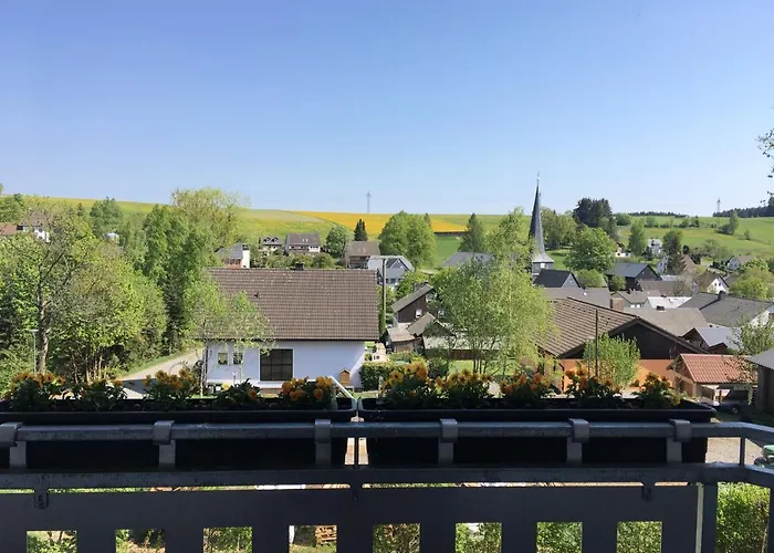 Steinbachblick 아파트 *